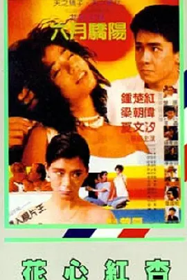 代言人领事馆