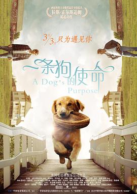 国产天堂在线视频