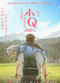 国产成人在线精品