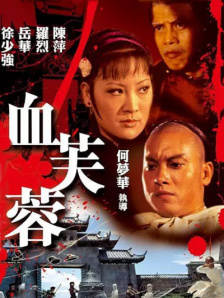 久久久久精品久久影院
